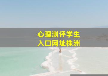 心理测评学生入口网址株洲