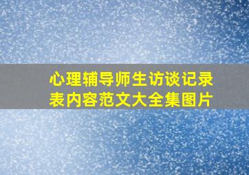 心理辅导师生访谈记录表内容范文大全集图片