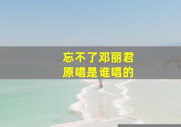 忘不了邓丽君原唱是谁唱的