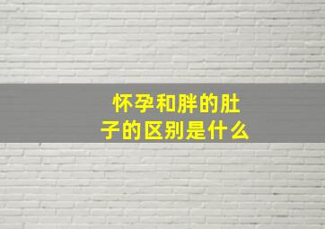 怀孕和胖的肚子的区别是什么