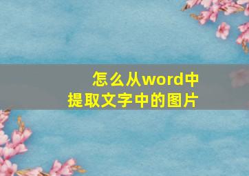 怎么从word中提取文字中的图片