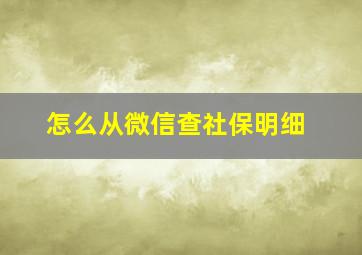 怎么从微信查社保明细