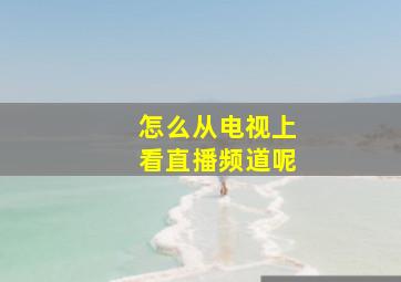 怎么从电视上看直播频道呢