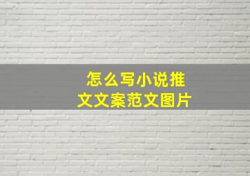 怎么写小说推文文案范文图片