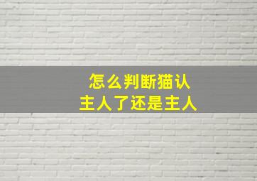 怎么判断猫认主人了还是主人