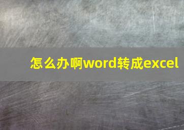 怎么办啊word转成excel