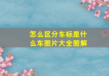 怎么区分车标是什么车图片大全图解