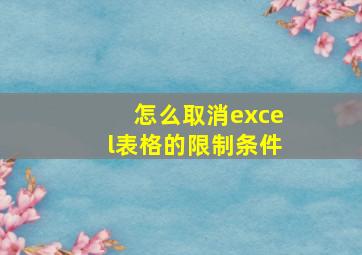 怎么取消excel表格的限制条件