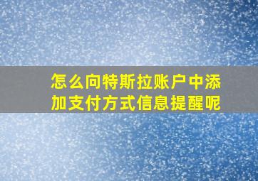 怎么向特斯拉账户中添加支付方式信息提醒呢