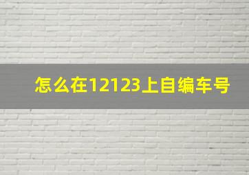 怎么在12123上自编车号