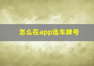 怎么在app选车牌号