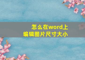 怎么在word上编辑图片尺寸大小