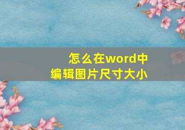 怎么在word中编辑图片尺寸大小