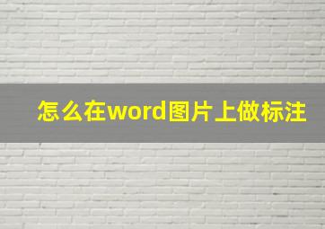 怎么在word图片上做标注