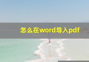 怎么在word导入pdf