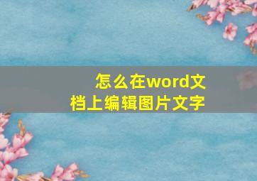 怎么在word文档上编辑图片文字