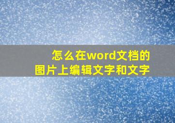 怎么在word文档的图片上编辑文字和文字