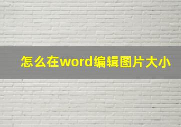 怎么在word编辑图片大小