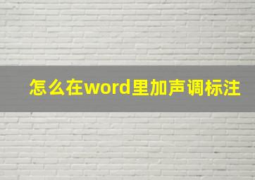 怎么在word里加声调标注