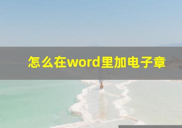 怎么在word里加电子章