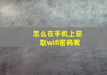 怎么在手机上获取wifi密码呢