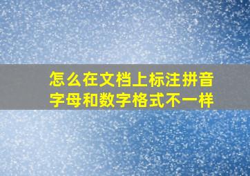 怎么在文档上标注拼音字母和数字格式不一样