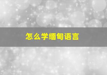 怎么学缅甸语言