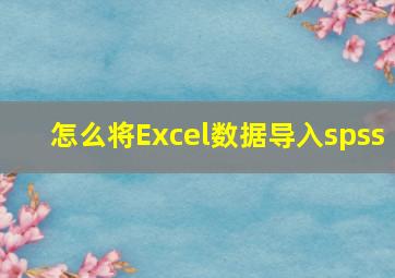 怎么将Excel数据导入spss