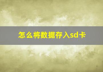 怎么将数据存入sd卡