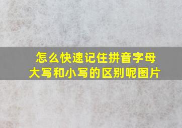 怎么快速记住拼音字母大写和小写的区别呢图片