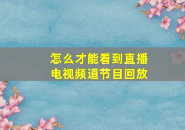 怎么才能看到直播电视频道节目回放