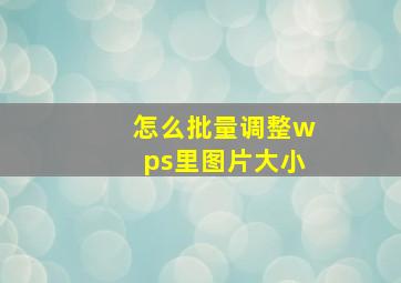 怎么批量调整wps里图片大小