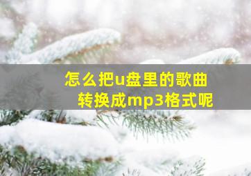 怎么把u盘里的歌曲转换成mp3格式呢