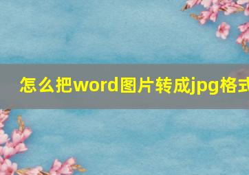 怎么把word图片转成jpg格式