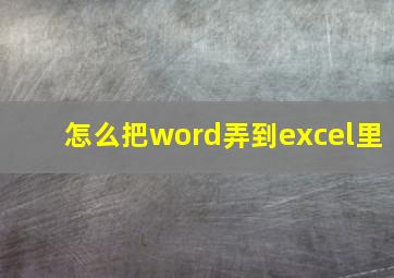 怎么把word弄到excel里