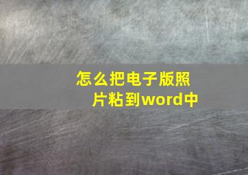 怎么把电子版照片粘到word中