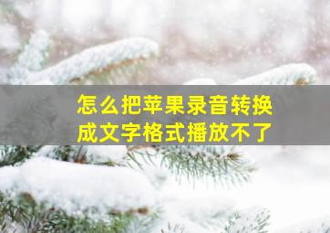 怎么把苹果录音转换成文字格式播放不了