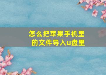 怎么把苹果手机里的文件导入u盘里