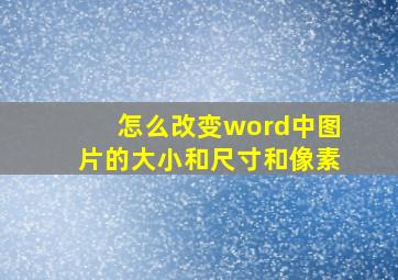 怎么改变word中图片的大小和尺寸和像素