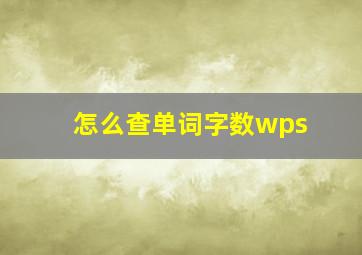 怎么查单词字数wps