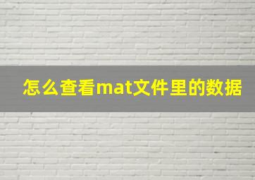 怎么查看mat文件里的数据