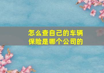 怎么查自己的车辆保险是哪个公司的