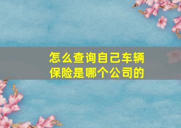 怎么查询自己车辆保险是哪个公司的