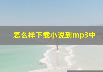 怎么样下载小说到mp3中