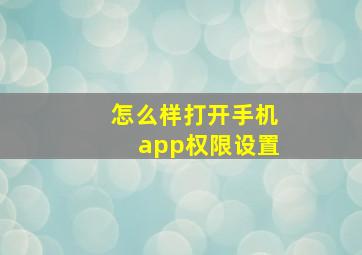 怎么样打开手机app权限设置