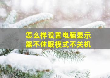 怎么样设置电脑显示器不休眠模式不关机