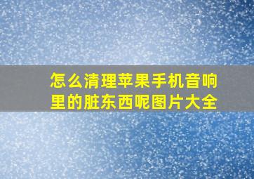 怎么清理苹果手机音响里的脏东西呢图片大全