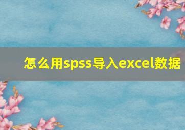 怎么用spss导入excel数据