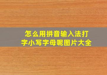 怎么用拼音输入法打字小写字母呢图片大全