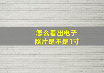 怎么看出电子照片是不是1寸